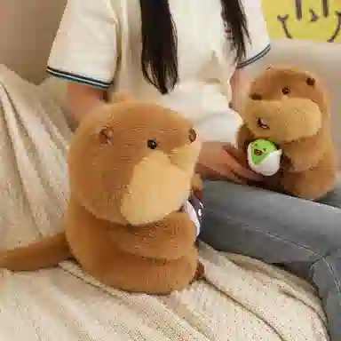 22cm30cm