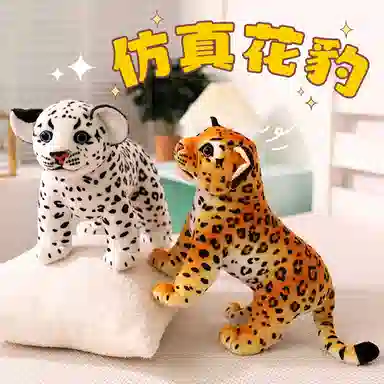 27cm35cm