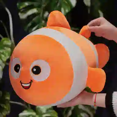 30cm50cm