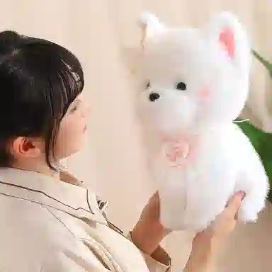 33cm40cm