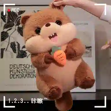 25cm40cm