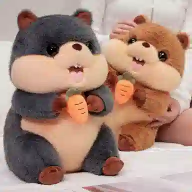 25cm40cm