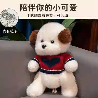 30cm40cm55cm