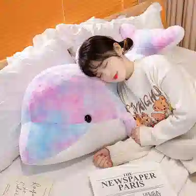 20cm45cm65cm80cm100cm