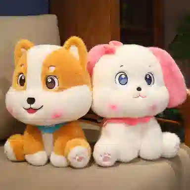 20cm30cm