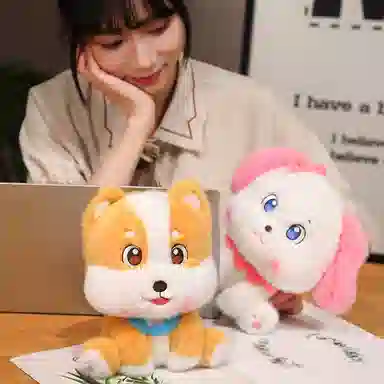 20cm30cm