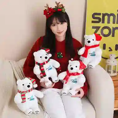 25cm33cm
