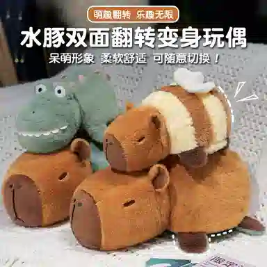 25cm35cm