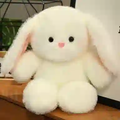 50cm