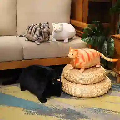 30cm50cm