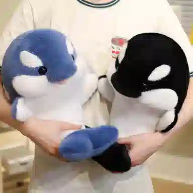 35cm50cm