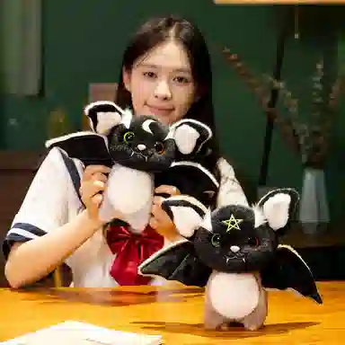 25cm