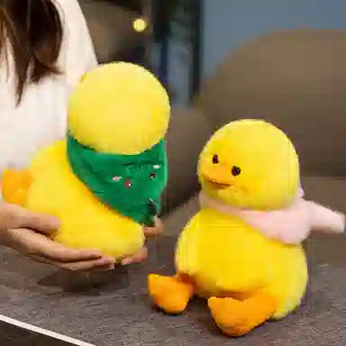 23cm30cm