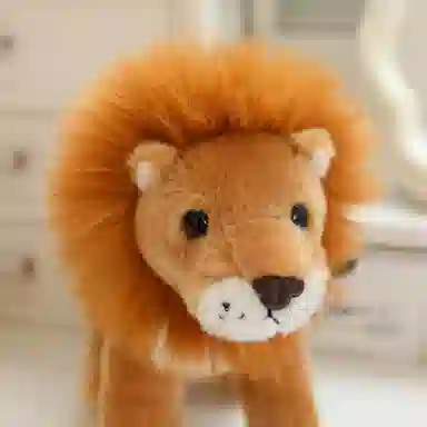 20cm