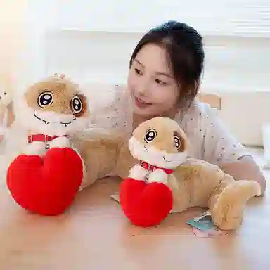 20cm28cm