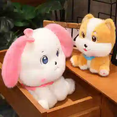 20cm30cm