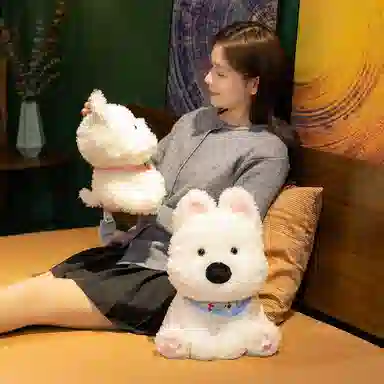 30cm40cm