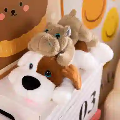 25cm35cm