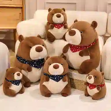 22cm30cm45cm