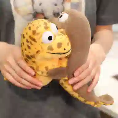 20cm