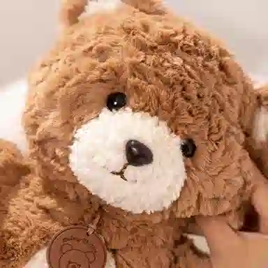 bear 35cm