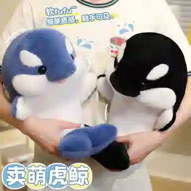 35cm50cm