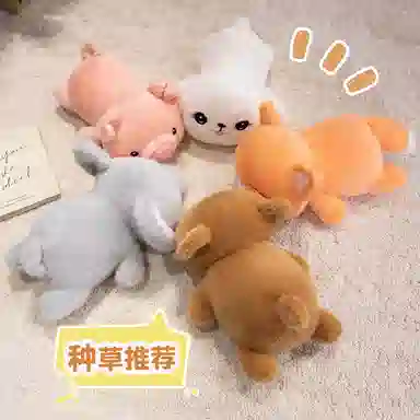 20cm28cm