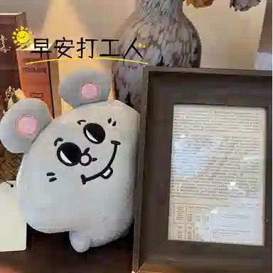 26cm