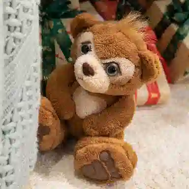 20cm35cm