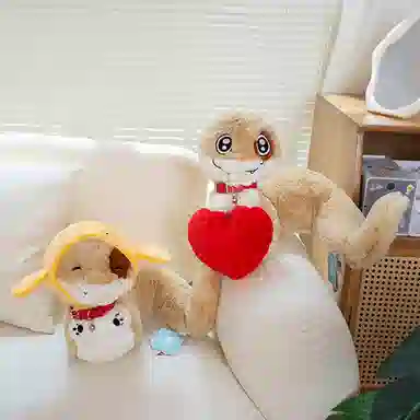 20cm28cm