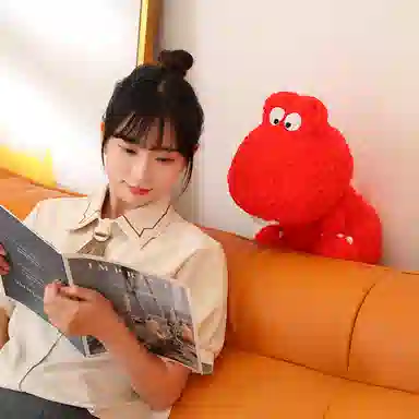 30cm40cm