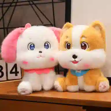 20cm30cm