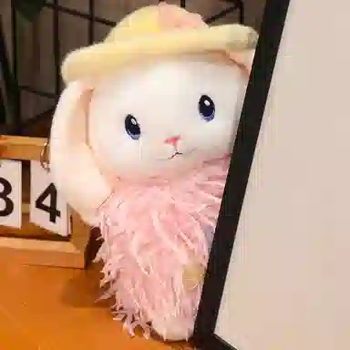 30cm