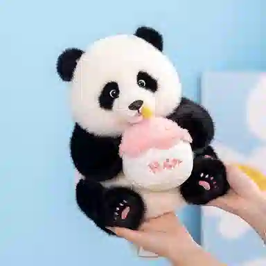 30cm38cm