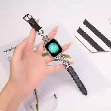 TooGowa Apple watch