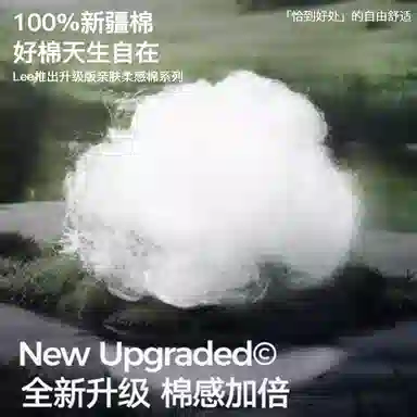 Lee 101 10A 1