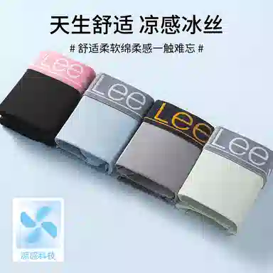 Lee 101 10A 2