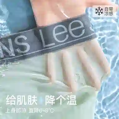 Lee 101 10A 2