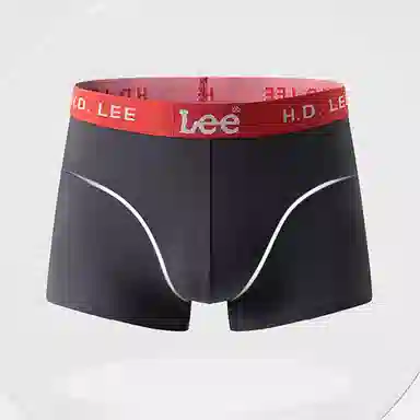 Lee 101 10Alogo 3