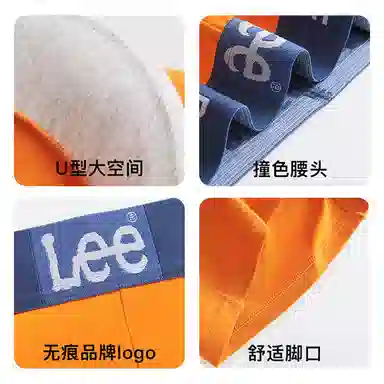 Lee 101 10A 1