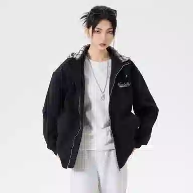 Kawasaki 550GCleanfit