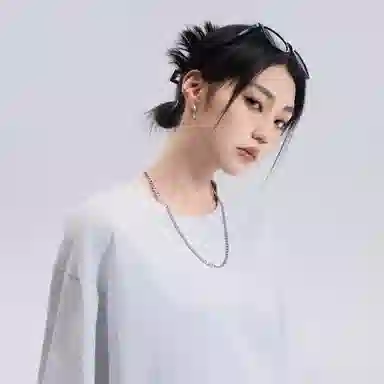 Kawasaki 320G CleanfitT