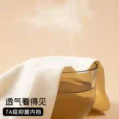 Lanmu Antibacterial Seamless Cool Underwear 3-Pack Women