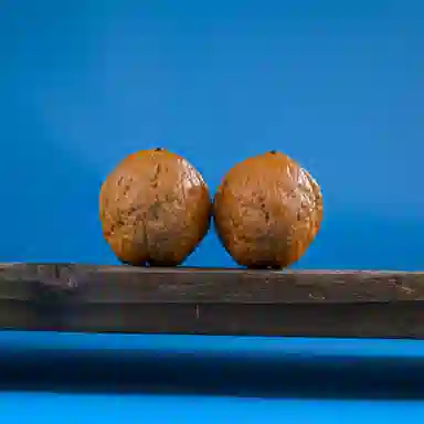 【到手3件】 絮物 原皮元宝铁国潮新中式掌心禅意易玩易红纹理深邃轻奢高级感随手盘玩新宠诸事顺利#好运 文玩核桃 把件 男女同款情侣款