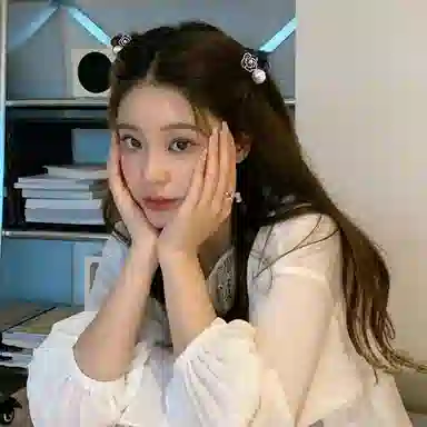 丹琴 山茶花公主头小抓夹气质小雏菊刘海夹侧边夹后脑勺半扎发卡 亚克力 发夹 女款