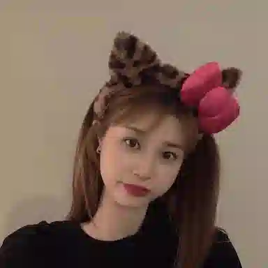 丹琴 豹纹毛绒洗脸耳朵压发可爱蝴蝶结 布艺 发箍 女款