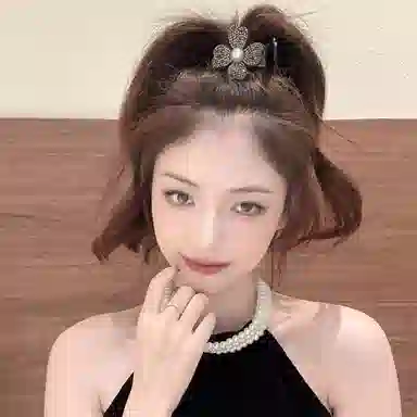 丹琴 四叶草抓夹花朵丸子头发饰高马尾固定神器夹子头饰 亚克力 发夹 女款