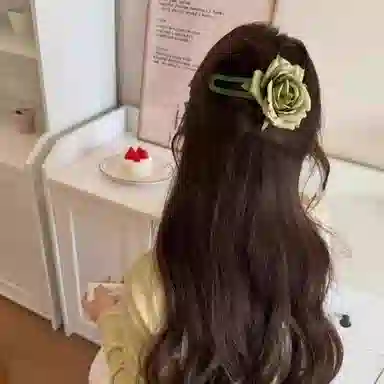 丹琴 绿叶网纱花朵 森系早春氛围感气质鸭嘴夹后脑勺半扎发盘发高级感发卡 亚克力 发夹 女款