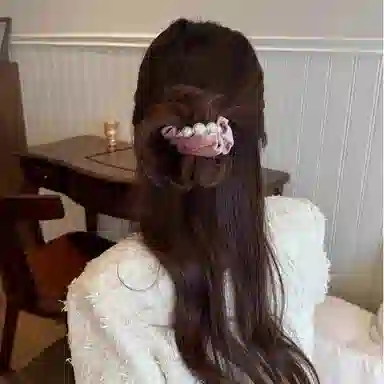 丹琴 丝绒大肠发圈 高级感高马尾扎头发绳仿珍珠款丸子头头饰 布艺 头绳 女款