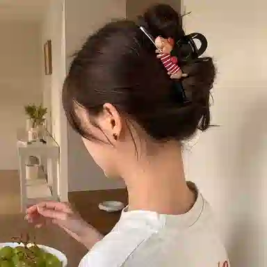 丹琴 可爱腊肠小狗卡通盘发后脑勺发量多 亚克力 发夹 女款